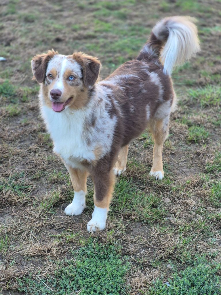 Utah Du Royaume D’Aria